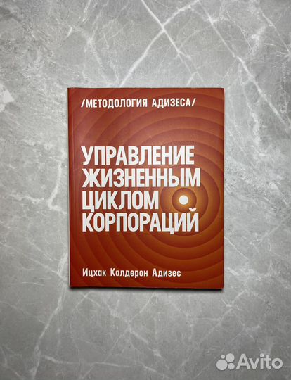 Книга (есть дефект)