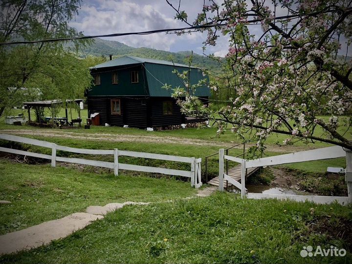 Отдых в горах