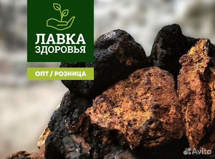 Чага сушеная опт. Любые объемы и виды