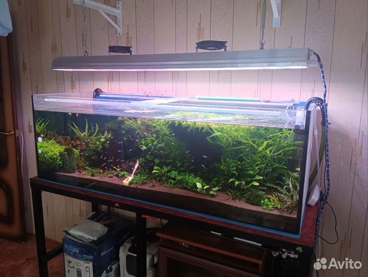 Аквариум