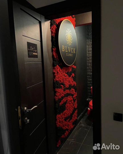 Вертикальное озеленение