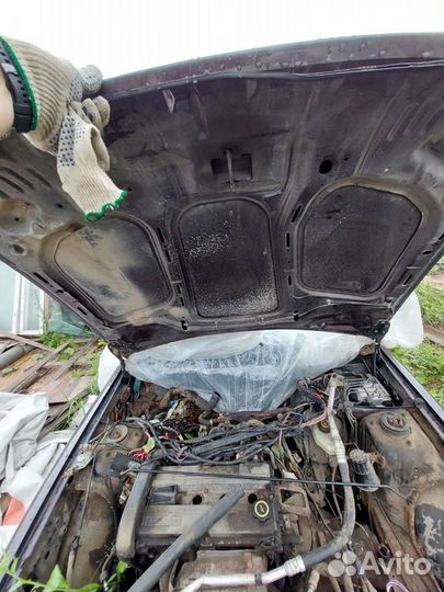 Капот Ford escort 5, разборка