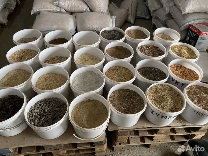 Корма для животных