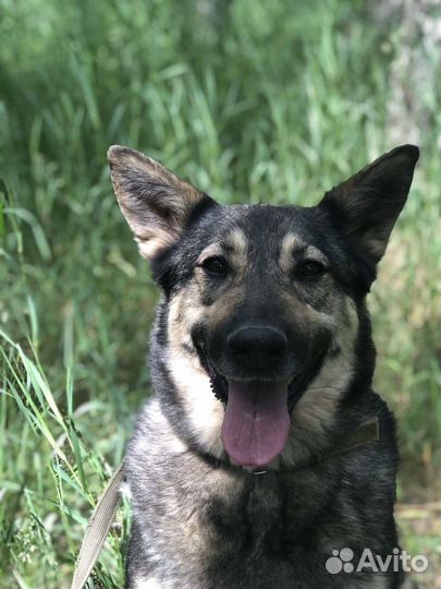 Милая девочка мечтает обрести дом