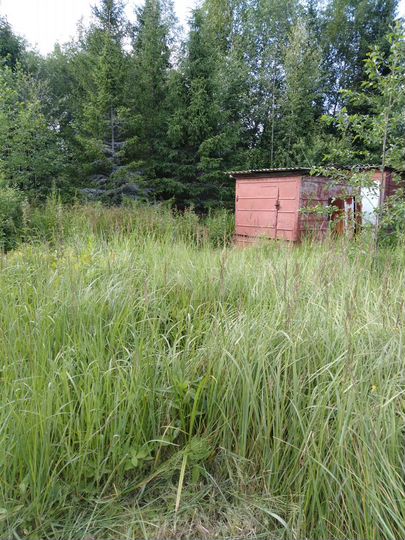 Дача 20 м² на участке 8 сот.