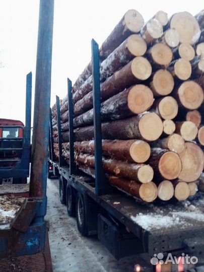 Лес кругляк опт