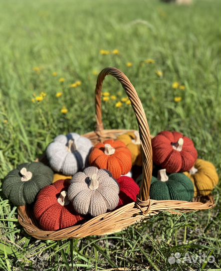 Тыква декоративная