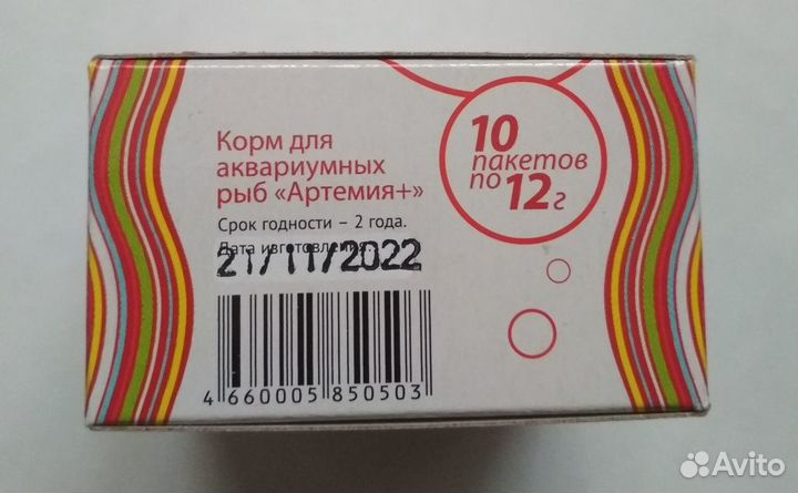 Скалярии молодь