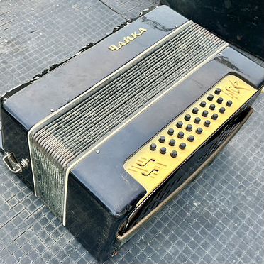 Шуйская гармонь чайка