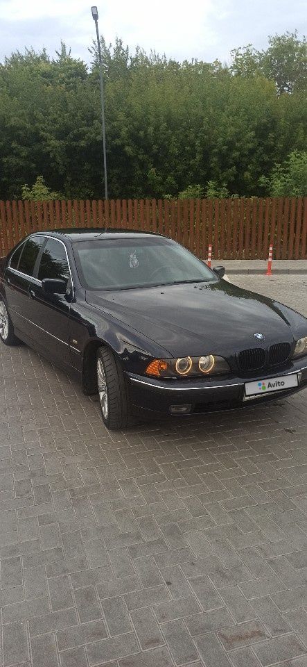 BMW 5 серия: фото владельца