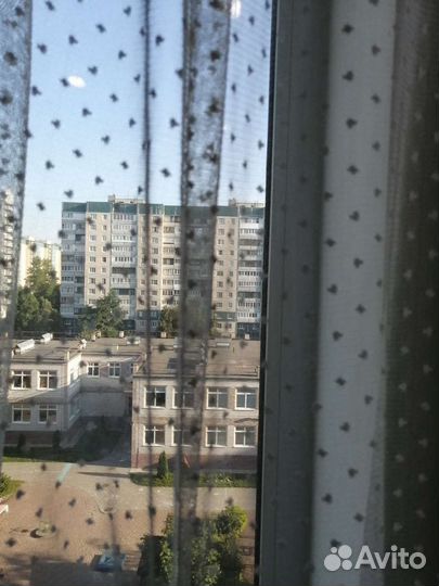 Тюль готовый 5м высота 2.46 м