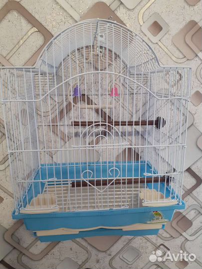 Клетка для попугая