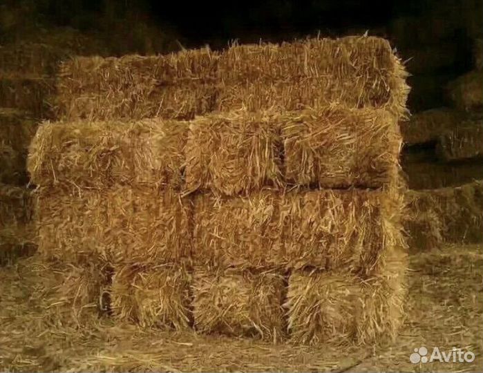 Солома пшеничная, сено луговое в тюках