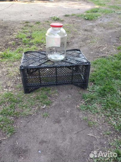 Банки стеклянные 3 литра