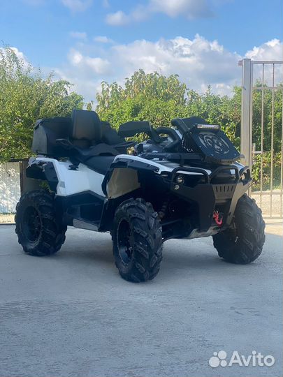 Стелс гепард