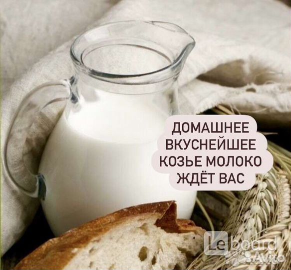 Молоко козье домашнее
