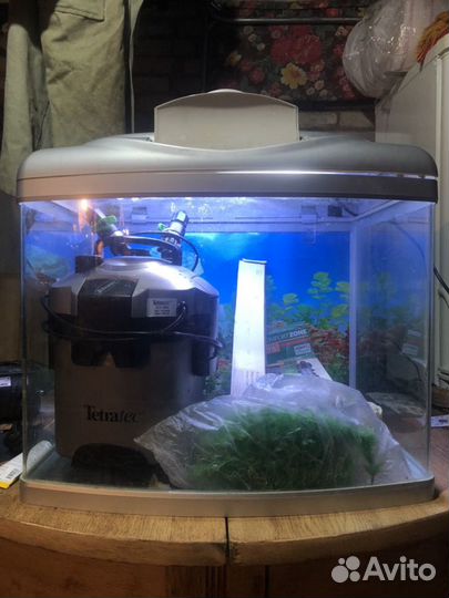 Аквариум