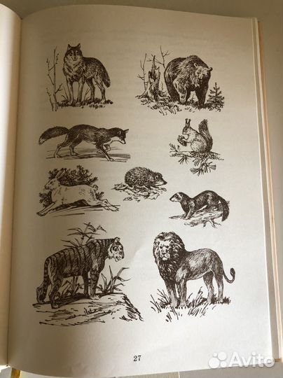 Учебники ркш 1 класс