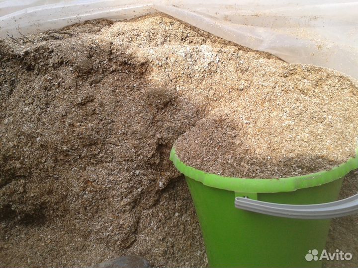 Ракушка не каспийская,речная,чистая