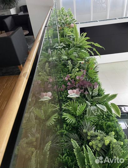 Фитостена, вертикальное озеленение, картины