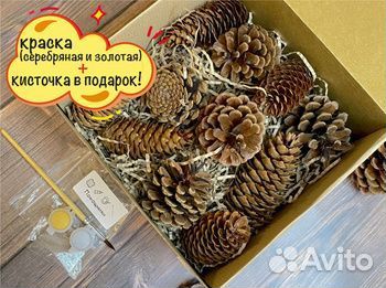 Шишки Набор для поделок