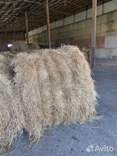 Продажа сена в рулонах