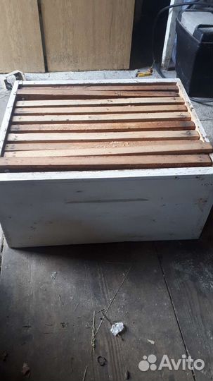 Пчелиные ульи