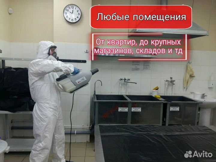 Уничтожение насекомых:тараканы, клопы,блохи и т.д