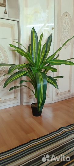 Искусственные растения в горшках Драцена, Plant