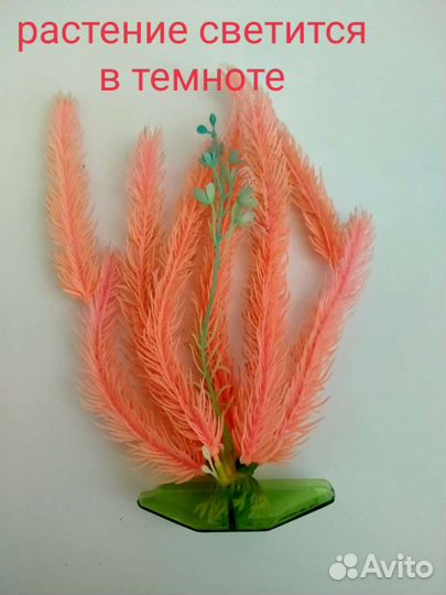 Набор для аквариумиста