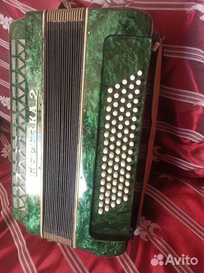 Аккордеон берёзка 2