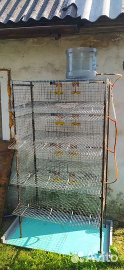 Клетки для ререпелов