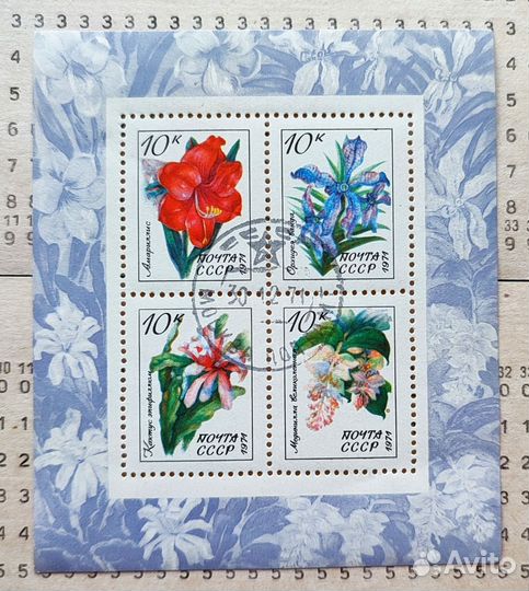 Ботаническиие марки цветы, грибы