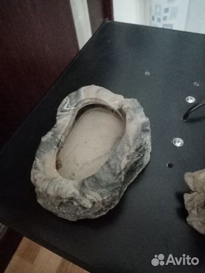 Террариум бу