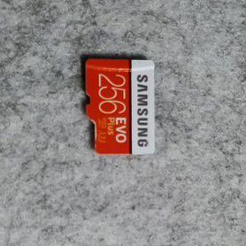 Micro sd samsung 256