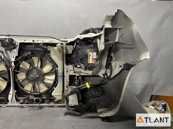 Nose cut honda stream