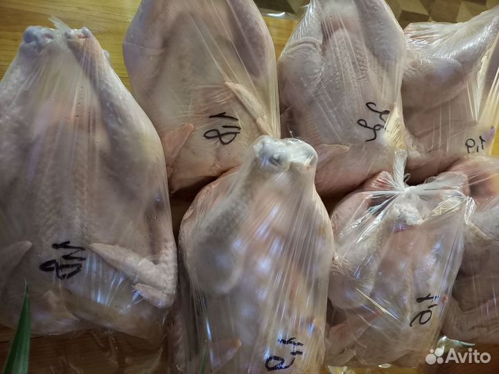 Мясо бройлера