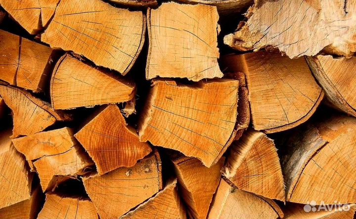 Дрова из Буратино
