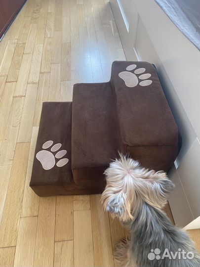 Лестница для собак