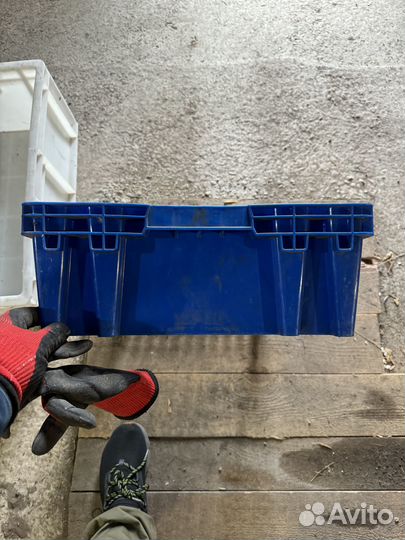 Ящик пластиковый, ящик овощной