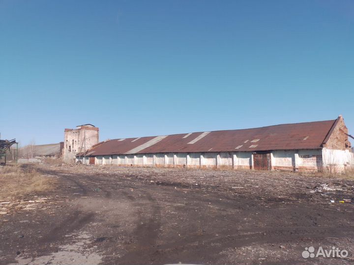 Лесозаготовительное производство
