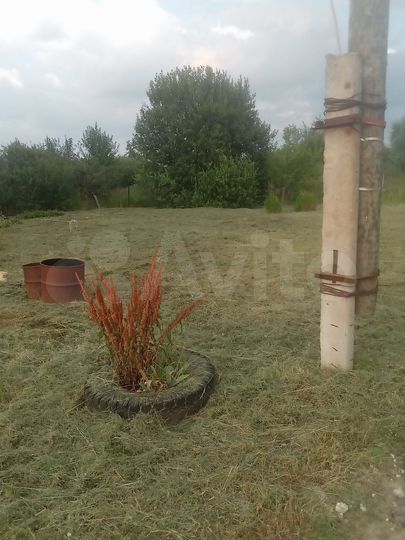 Участок 6,2 сот. (СНТ, ДНП)