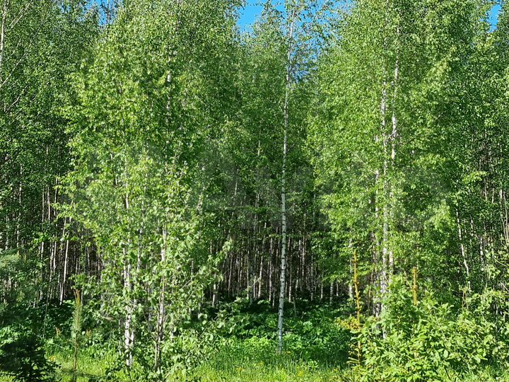 Участок 1,4 га (СНТ, ДНП)