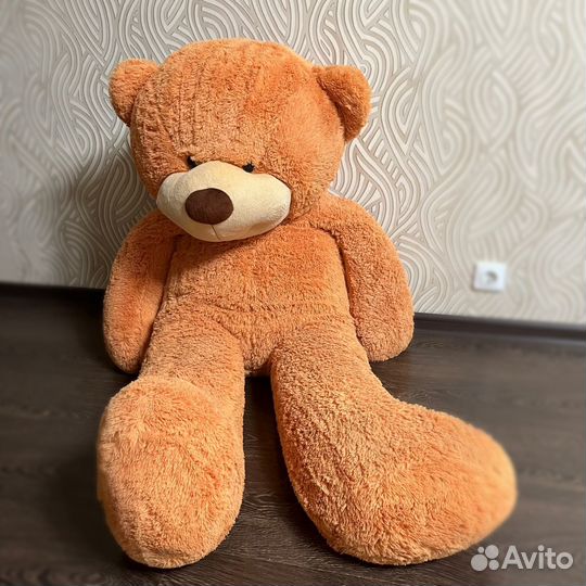 Плюшевый медведь