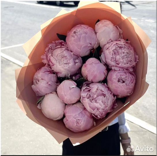 Пионы, Цветы 51