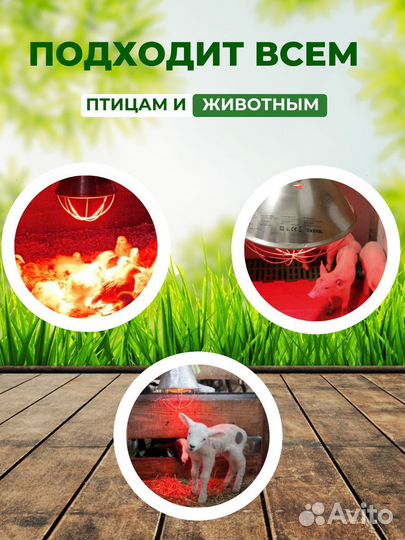 Лампа инфракрасная