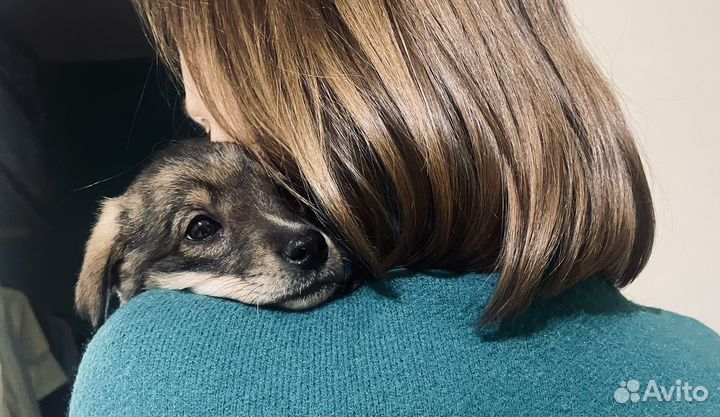 В очень добрые ручки очень замечательного ребенка