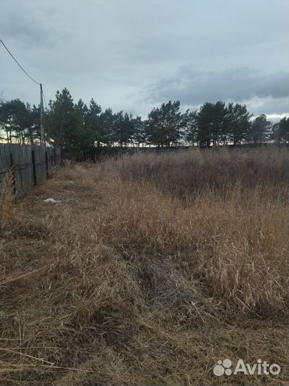 Покос травы