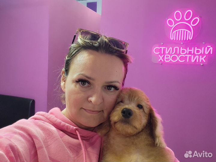 Лабрадудли в Сочи