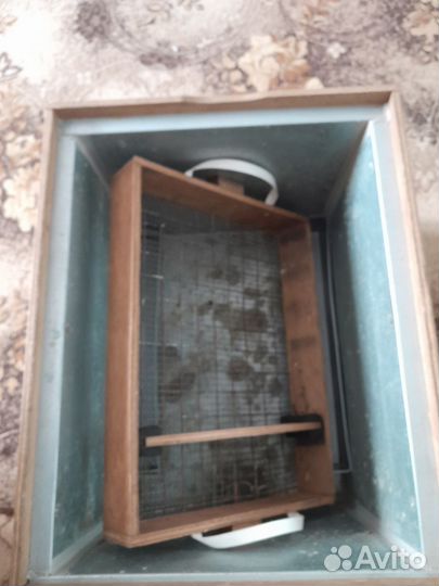 Инкубатор для яиц автоматический блиц 48